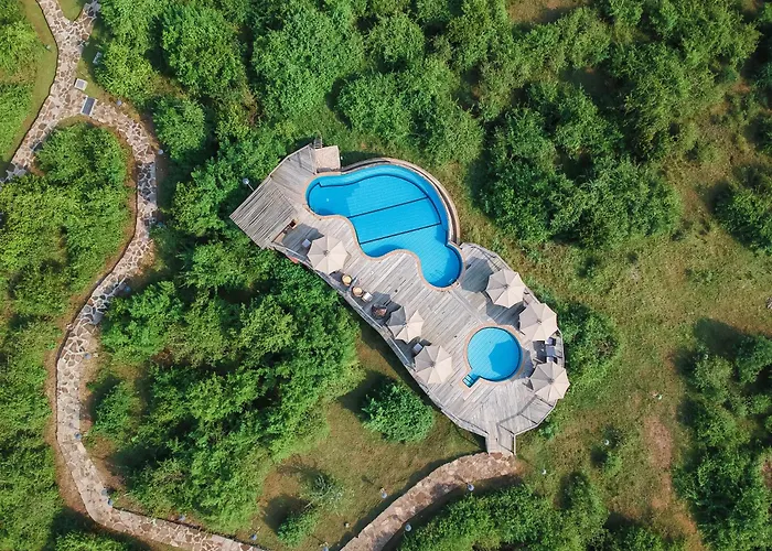 Buffalo Safari Lodge