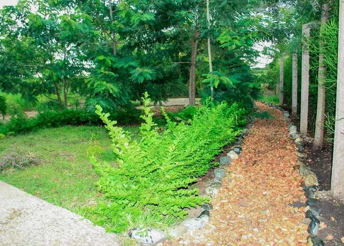 Nzoghu Heritage Safari Camp
